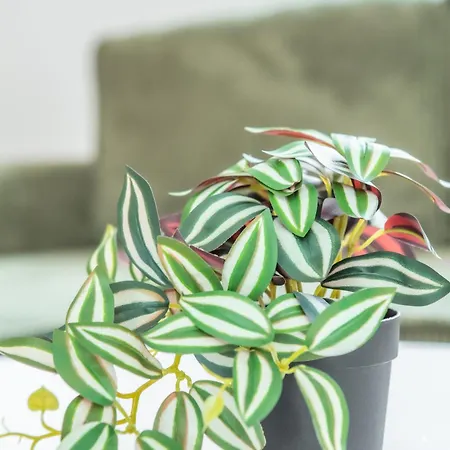 Apartamento Srednia 16